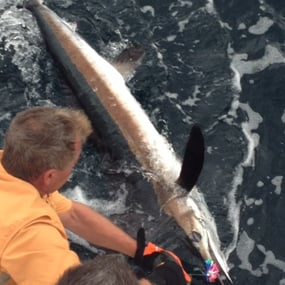 Fishing in Riviera Beach