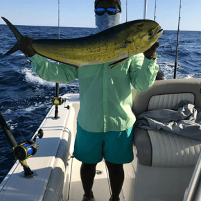 Fishing in North Charleston