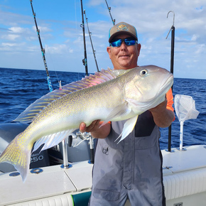 Fishing in Port Orange