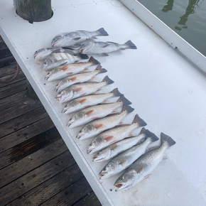 Fishing in Gulf Shores