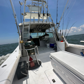 Fishing in Gulf Shores