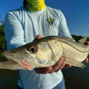 Fishing in Port Orange