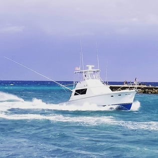 Fishing in Miami Beach