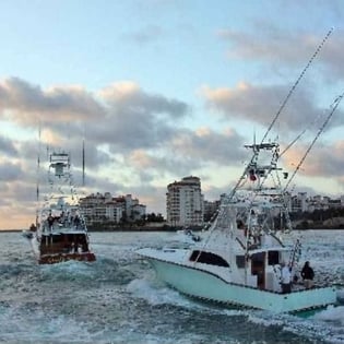 Fishing in Key Biscayne