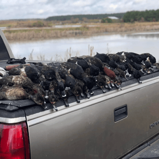 Hunting in Pensacola
