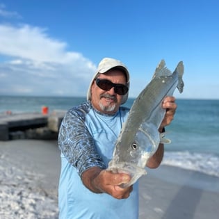 Fishing in Sarasota