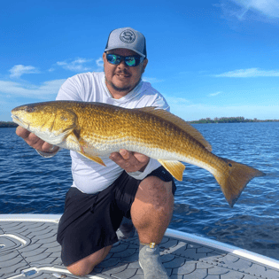 Fishing in Bokeelia