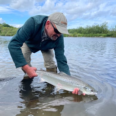 Atlantic Salmon