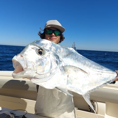 African Pompano