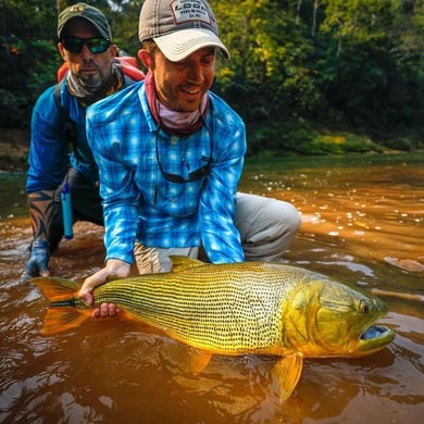 Golden Dorado