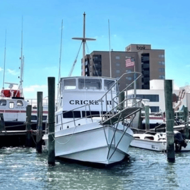 Fishing in Morehead City