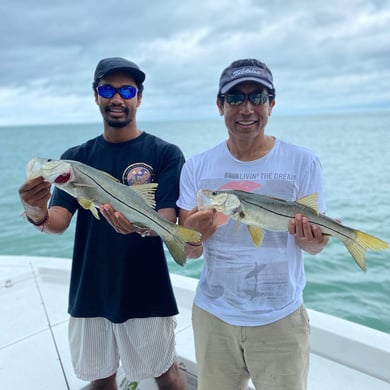 Best Snook Lures for Florida Fishing – Siesta Key Fishing Charters