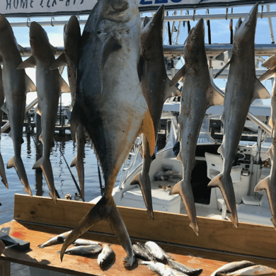 Fishing in Biloxi