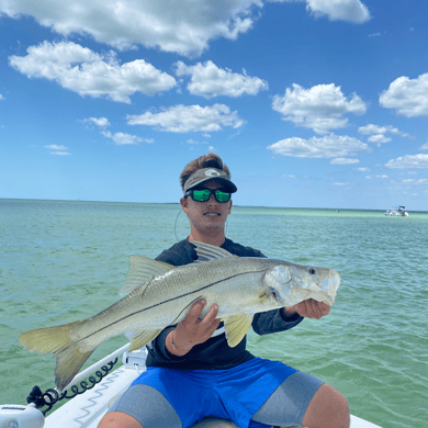 Artificial Lure Fishing in Tampa Bay