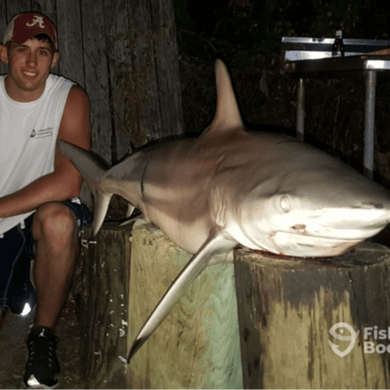 Fishing in Panama City