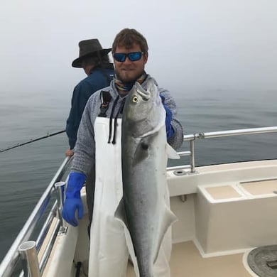 28+ Montauk Striped Bass Fishing Charter