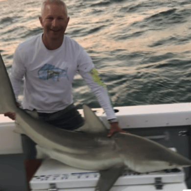 Tampa Bay Florida Shark Fishing Charter