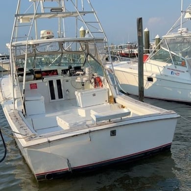 Fishing in Gulf Shores