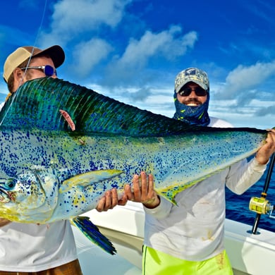 Your Fishing Guide for Palm Beach County