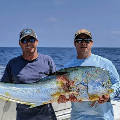 Fishing in Johns Island