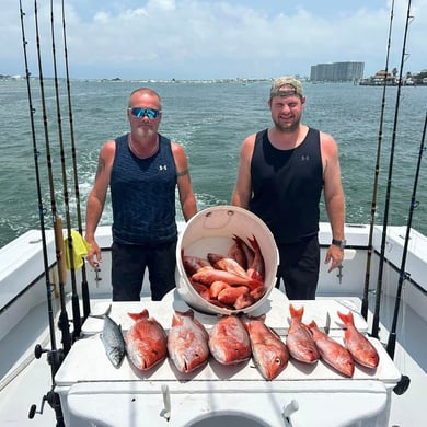 How to catch mingos?  Pensacola Fishing Forum