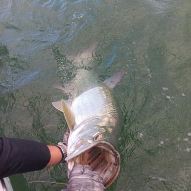 Fishing in Key West