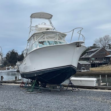 Fishing in Hampton Bays