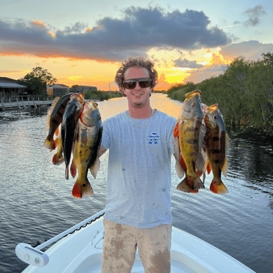 Fishing, Hunting in Miami