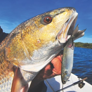 Fishing in Port Orange