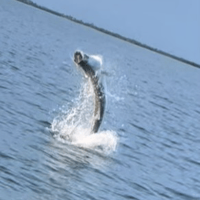 Fishing in Little Torch Key