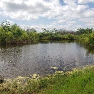 Hunting in Cibolo