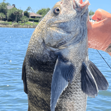 Fishing in Santa Rosa Beach