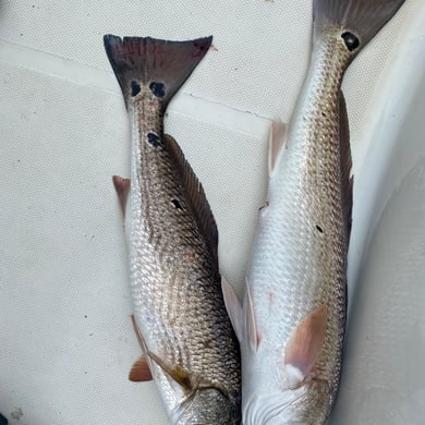 Fishing in Santa Rosa Beach