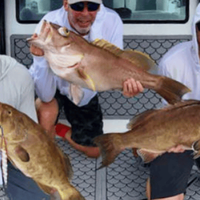 Fishing in Clearwater