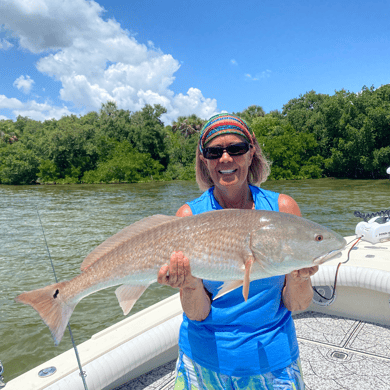 Fishing in Clearwater