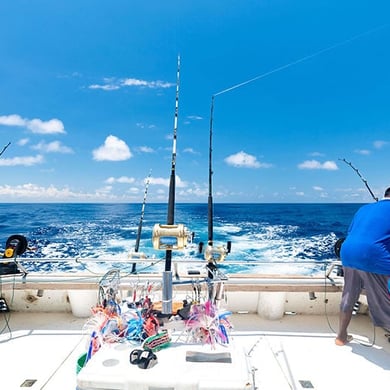 The 15 Best Kite Fishing Charters