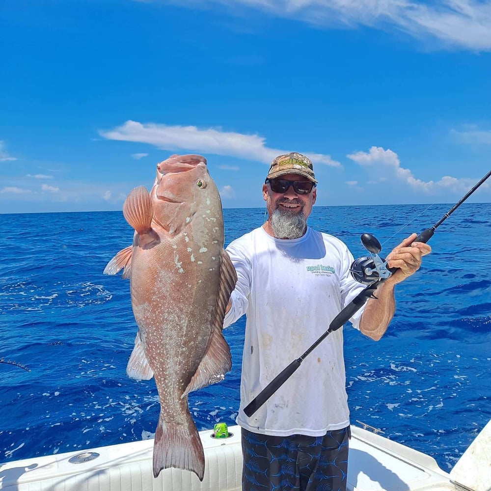 Full Day Offshore In Gulfport