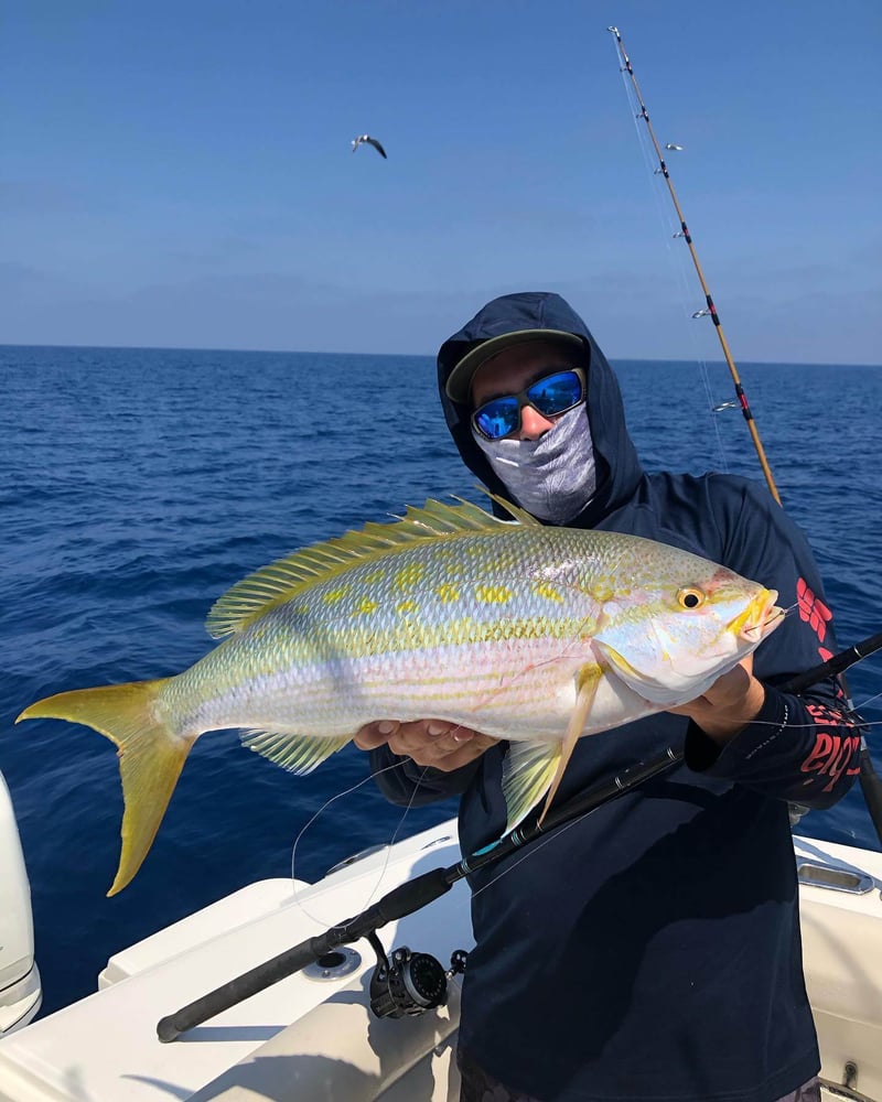 Sarasota Offshore Grocery Run In Sarasota