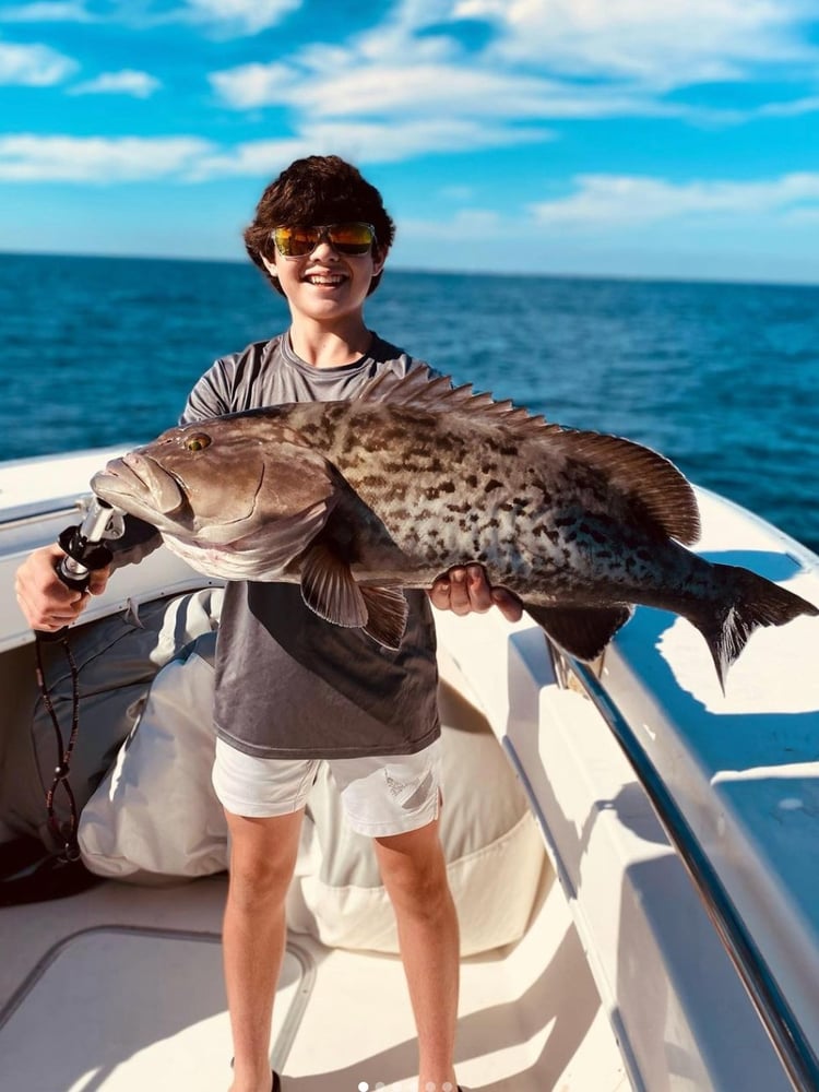 Into The Deep: Destin Offshore In Santa Rosa Beach