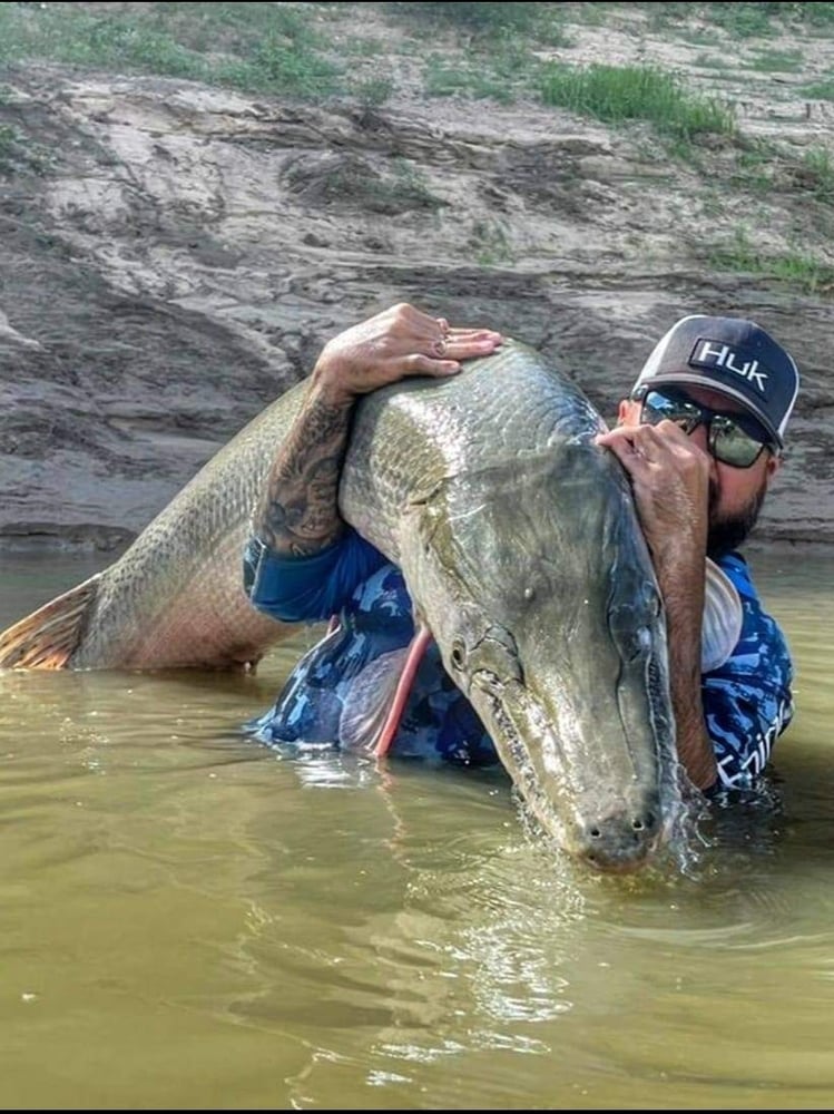 Giant Alligator Gar Adventure In Corsicana