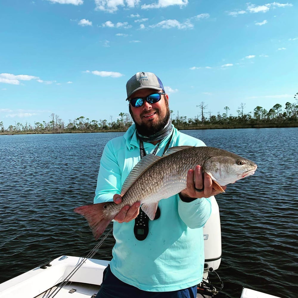 Inshore Redfish Whacker In Port St. Joe