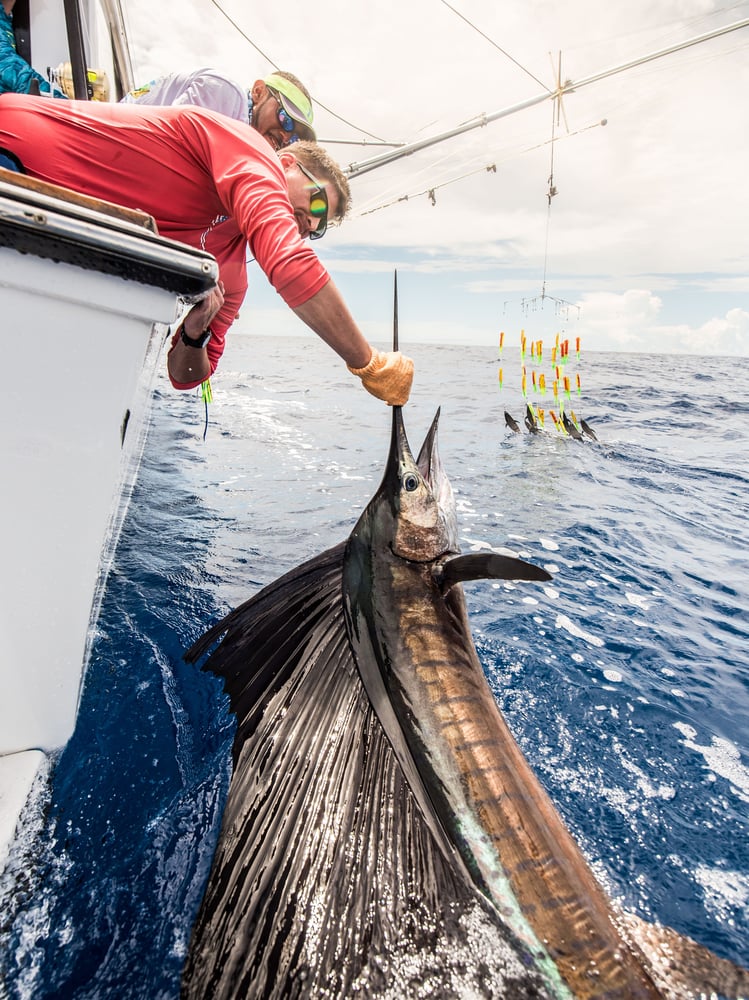 Premier Quepos Billfishing In Quepos