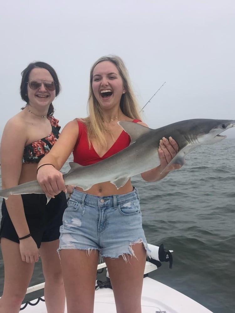 Tampa Bay Sharkfest - 25’ Sportsman In Ruskin