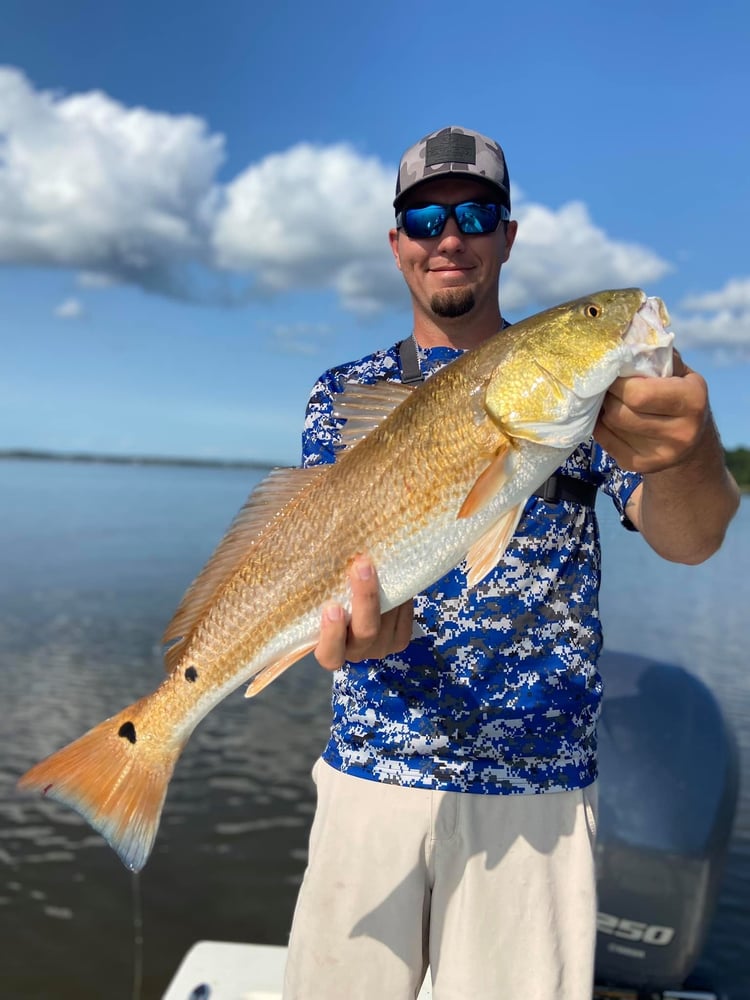 NC Classic Inshore Trip In Atlantic Beach