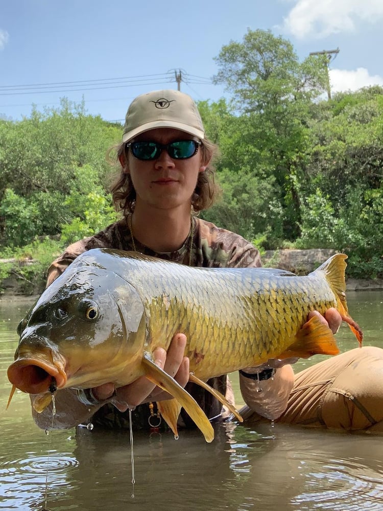 Carp And Buffalo On The Fly In Austin