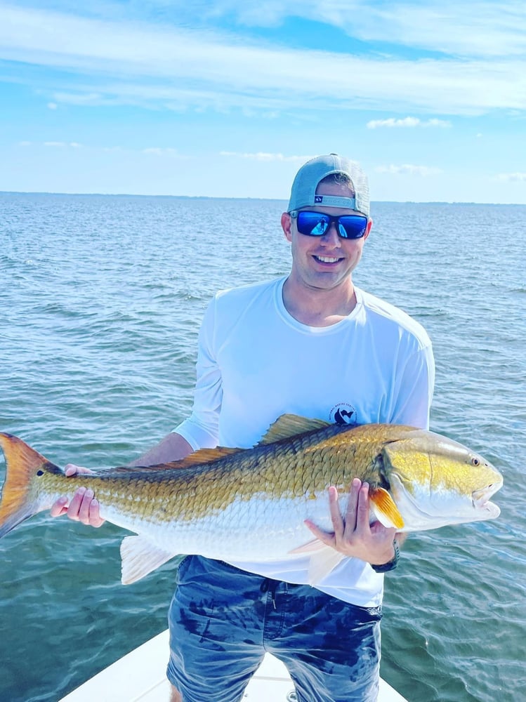 Inshore "Mixed Bag" Trip In New Bern