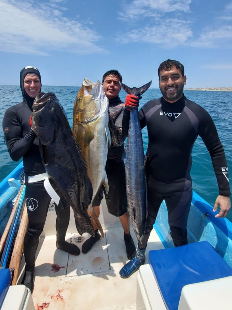 Spearfishing Cabo In Cabo San Lucas