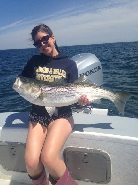 Midsummer Striper - 33’ Grady White In Chatham