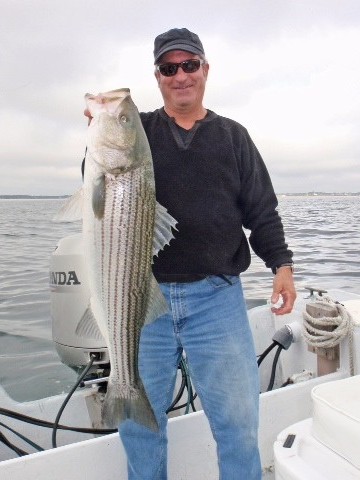 Early Season Striper 33’ In Chatham