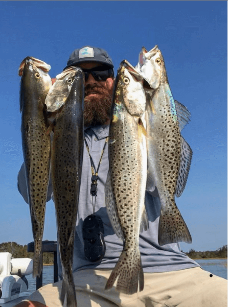 Speckled Trout Fishing Trip In Ogden